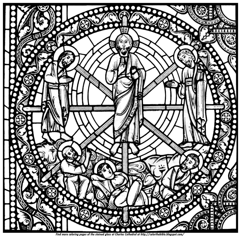 Sermon for the Last Sunday after the Epiphany